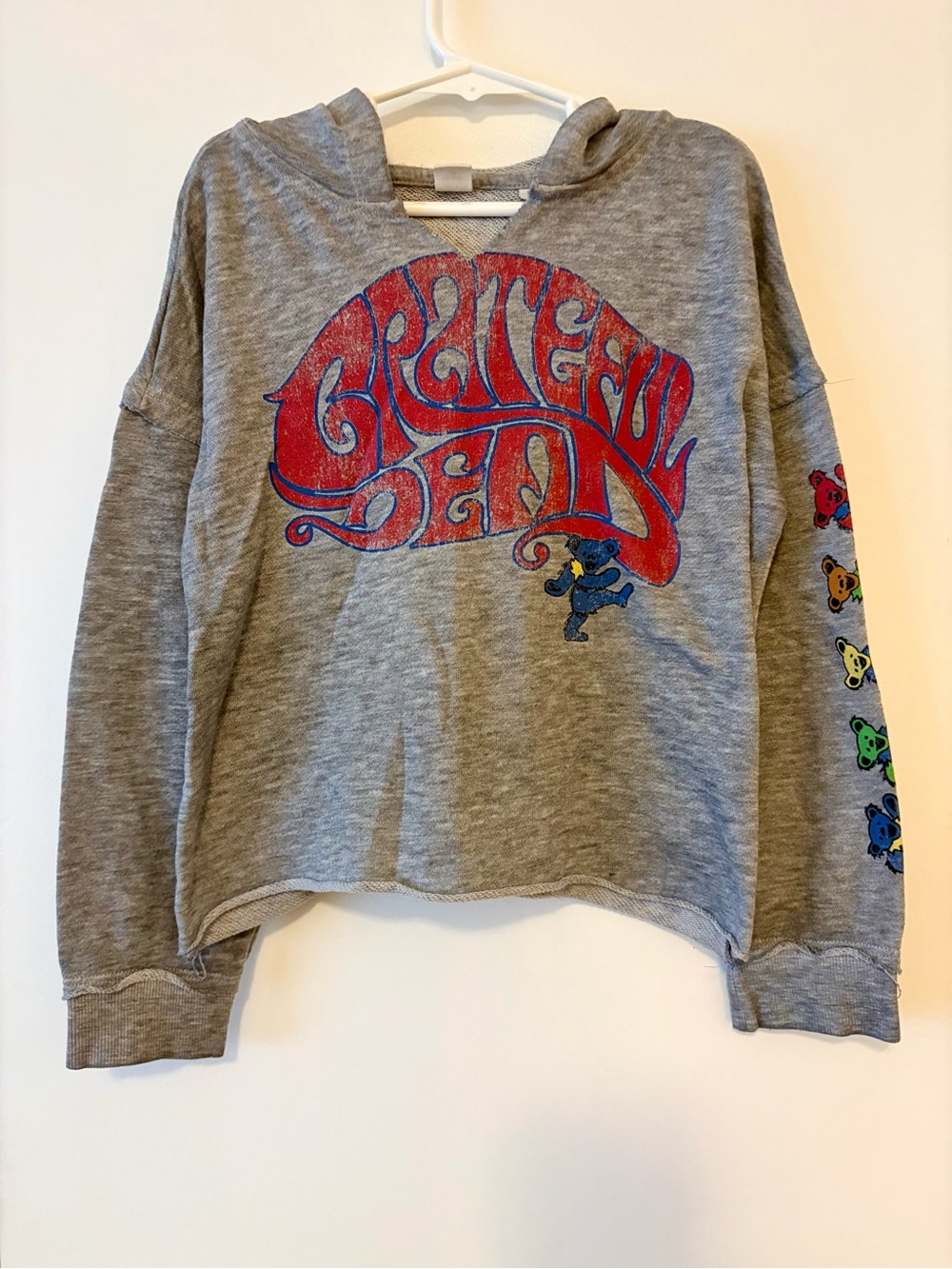 Junk Food Clothing Gray Hoodie with Red Grateful Dead Logo and Multicolor Bears